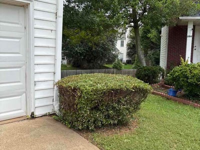 Lawn Care service in Paterson, 07505