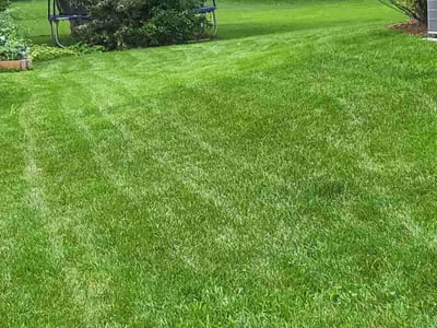 Lawn Care service in Arlington Heights, 60004