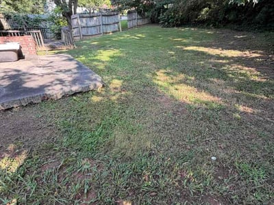 Lawn Care service in Tucker, 30084