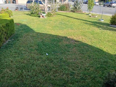 Lawn Care service in Bakersfield, 93301