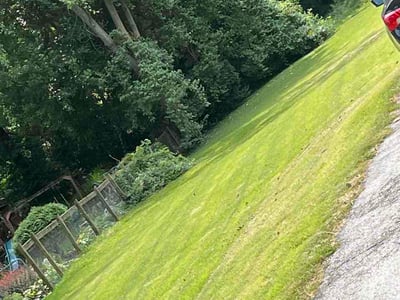 Lawn Care service in Bakersfield, 93301