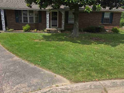 Lawn Care service in Sheridan, 72150