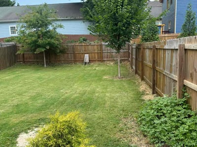 Lawn Care service in Nassau County, 11566