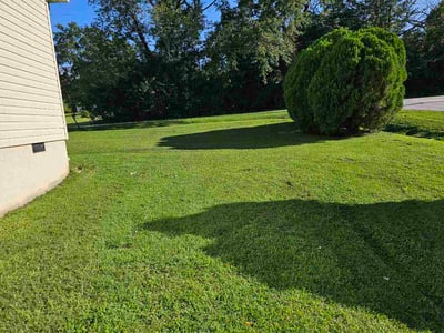 Lawn Care service in Clemson, 29631