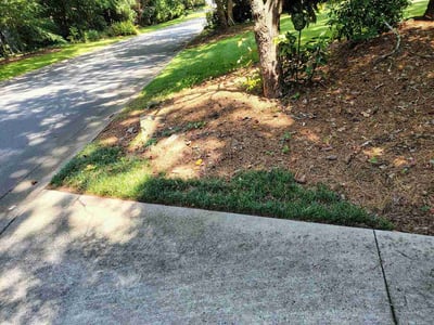 Lawn Care service in Woodbridge, 07095