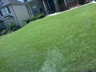 Lawn Care service in Cayce, 29033