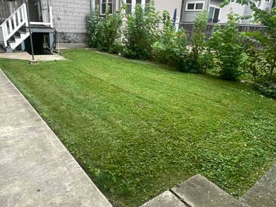 Lawn Care service in Lemont, 60439