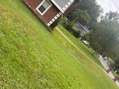 Lawn Care service in ,
