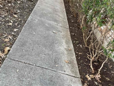 Lawn Care service in New Brunswick, 08901