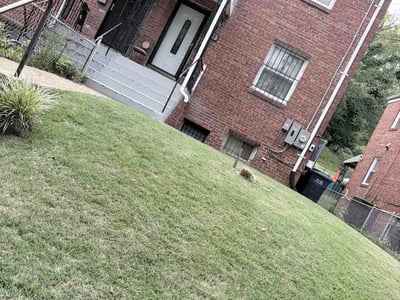 Lawn Care service in Front Royal, 22630