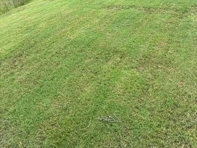 Lawn Care service in McCalla, 35111