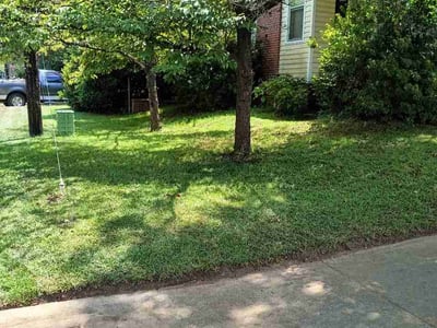 Lawn Care service in McCalla, 35111
