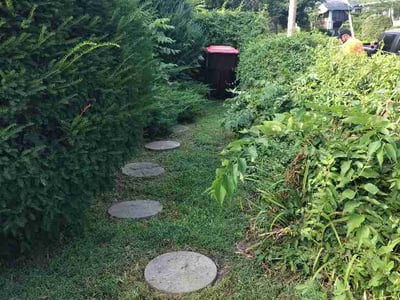 Lawn Care service in Lake Villa, 60046