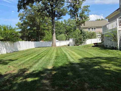 Lawn Care service in Springfield, 22150