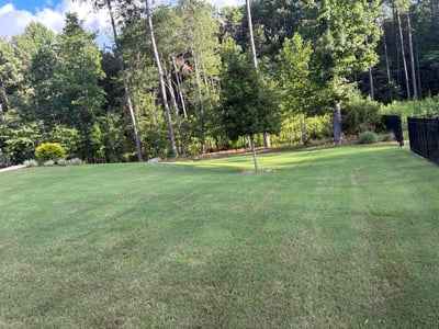 Lawn Care service in Sharpsburg, 30277