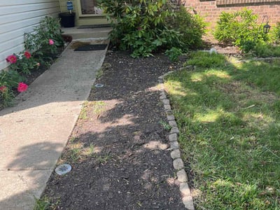 Lawn Care service in Springfield, 22150