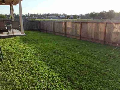 Lawn Care service in Humble, 77338