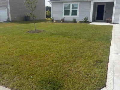 Lawn Care service in Loris, 29569
