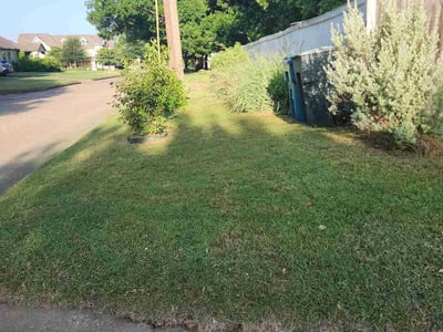 Lawn Care service in Denison, 75021