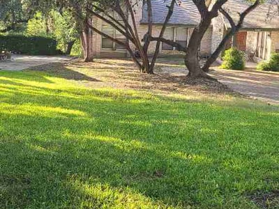Lawn Care service in Selma, 78154