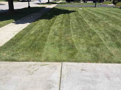 Lawn Care service in Cheektowanga, 14225