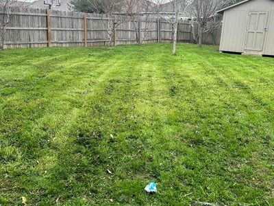 Lawn Care service in Kingston, 12401