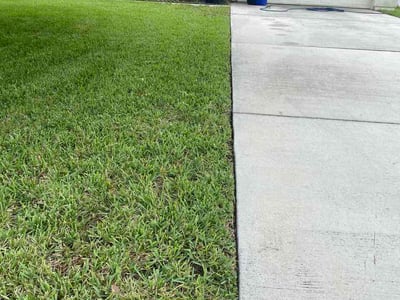 Lawn Care service in ,
