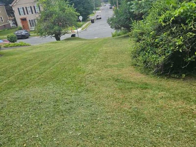 Lawn Care service in Troy, 12180