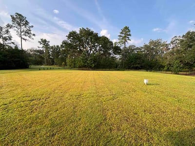 Lawn Care service in Johns Island, 29455