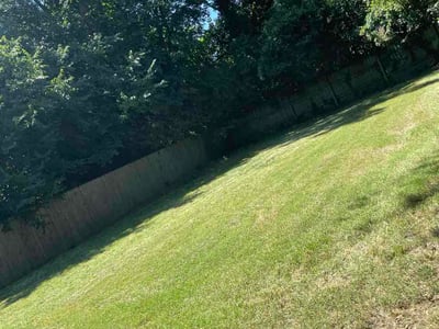 Lawn Care service in Bristol, 37620