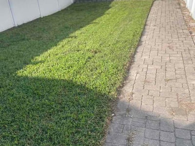 Lawn Care service in Bristol, 37620