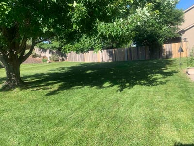 Lawn Care service in Marion, 62959
