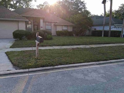 Lawn Care service in Sebring, 33870