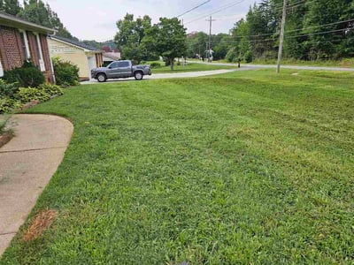 Lawn Care service in Taylors, 29687