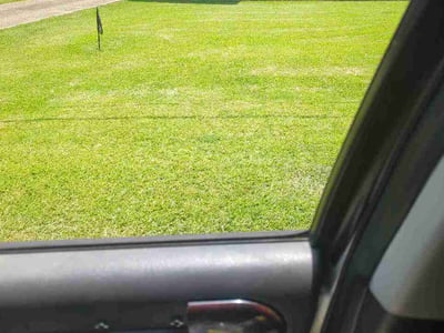 Lawn Care service in Thibodaux, 70301