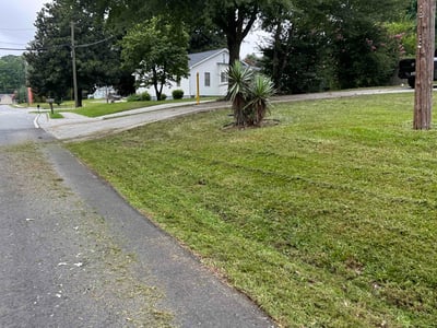 Lawn Care service in Brooklyn, 11216