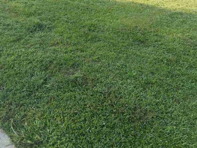 Lawn Care service in Thibodaux, 70301