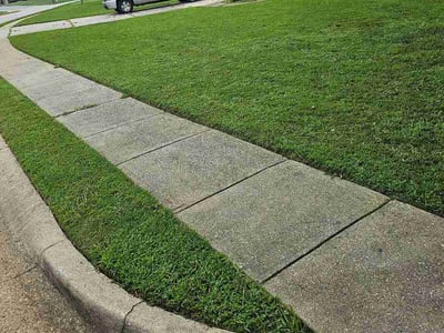 Lawn Care service in Winder, 30680