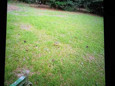 Lawn Care service in Winnsboro, 29180
