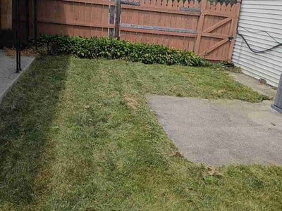 Lawn Care service in Algonquin, 60156