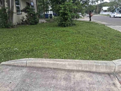 Lawn Care service in Stone Oak, 78258