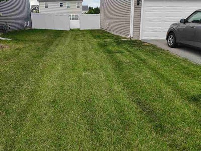 Lawn Care service in Algonquin, 60156