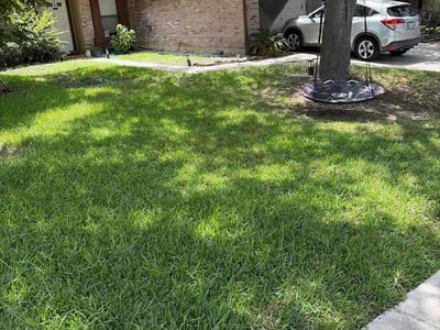 Lawn Care service in Stone Oak, 78258