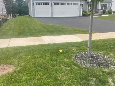 Lawn Care service in Dekalb, 60115