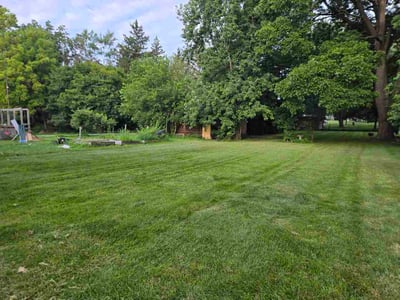 Lawn Care service in Dekalb, 60115