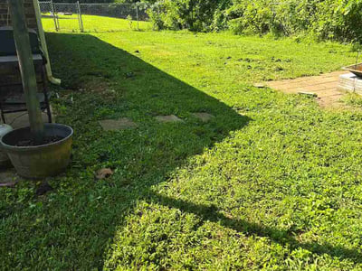 Lawn Care service in Hazel Green, 35750