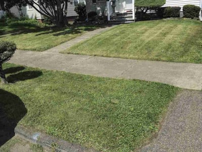 Lawn Care service in Watertown, 13601