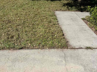 Lawn Care service in Merrick, 11566