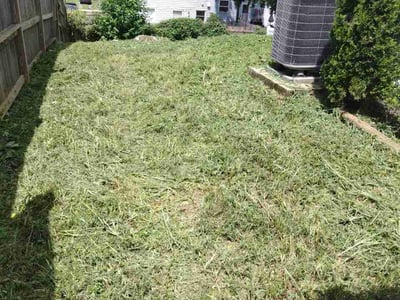 Lawn Care service in Fort Washington, 23936