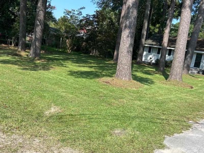 Lawn Care service in New Bern, 28560